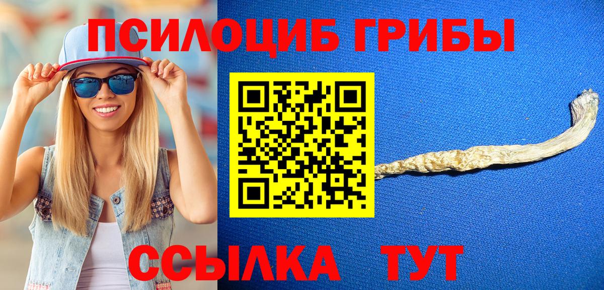 Видное  Псилоцибиновые грибы GOLDEN TEACHER  Вход с VPN 
