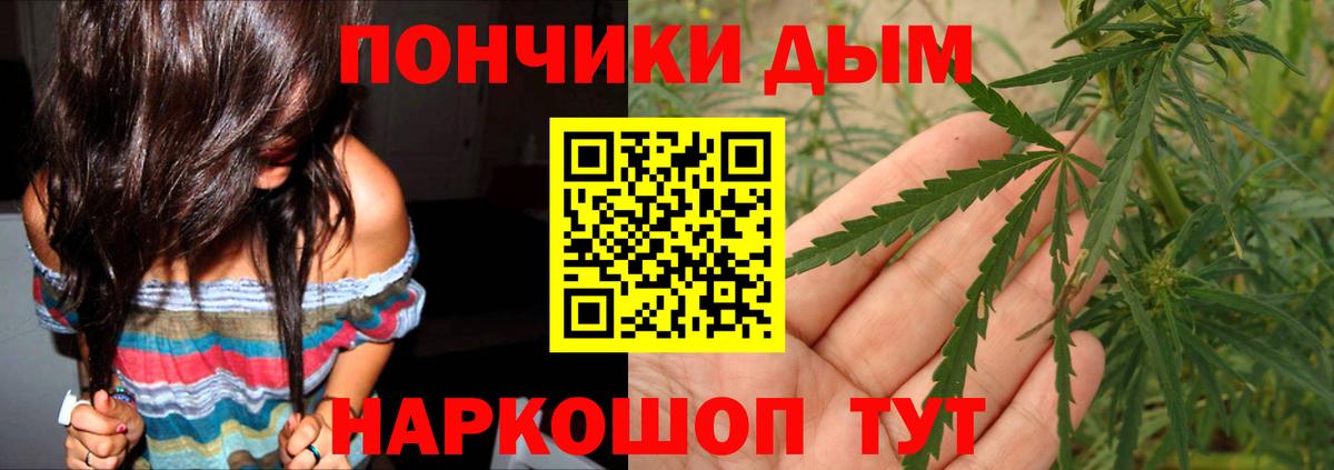 Бошки марихуана сатива Видное